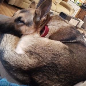 Meet your Posher, Colton